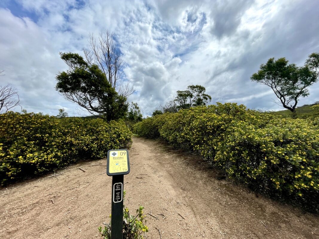 Junction of montain bike trail at the You Yangs mtb park