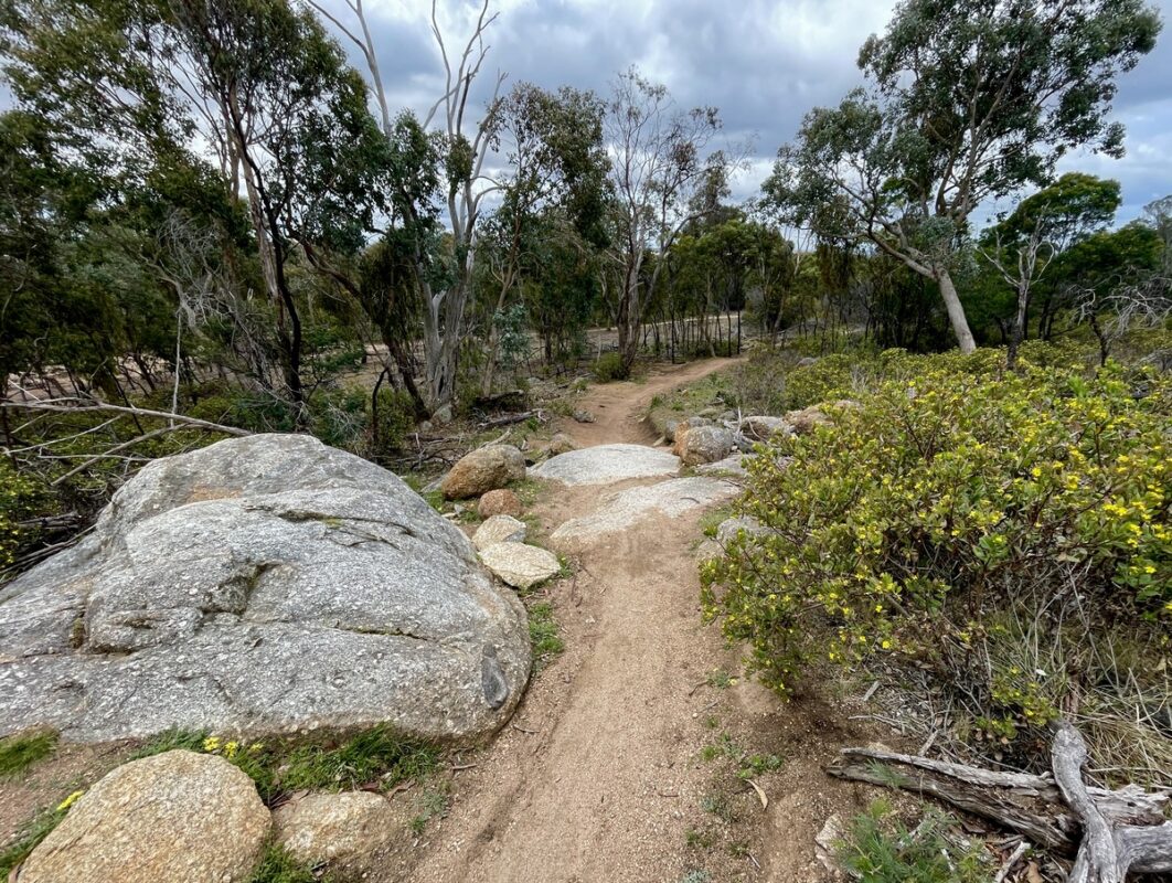 Trail features of boulders and singletrack at You Yangs mountain bike park