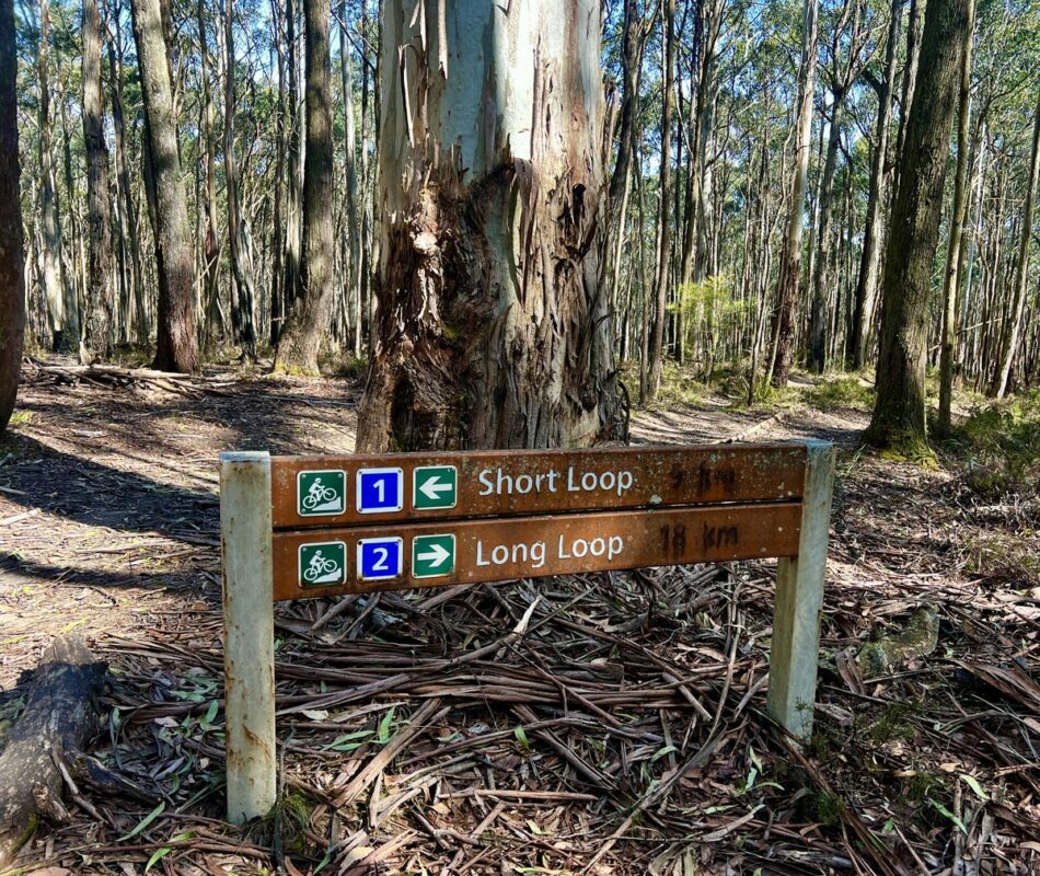 Sign of the the 'Long' loop or 'Short' loop junction, about mid way at the Woodend mountain bike trails.