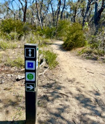 Trail sign next to mountain bike trail in Anglesea