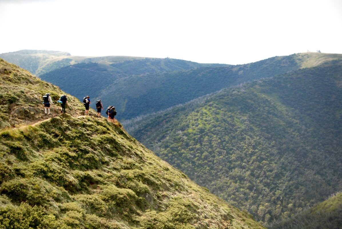 Hikers on the razorback trail heading towards Mt Feathertop