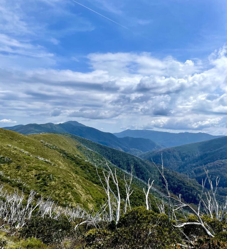 View of Mt Feathertop from the Razorback ridge with mountains in background and blue sky