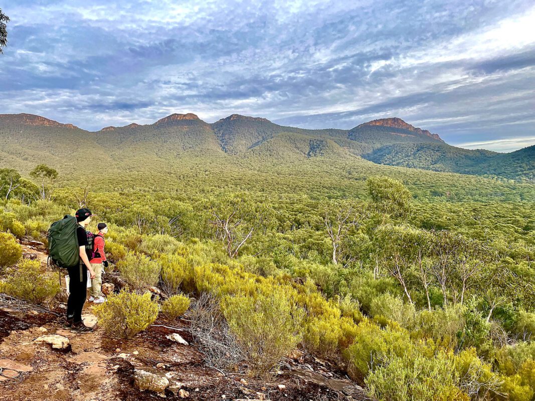 Hikers on the Grampians Peaks Trail looking at the range in the distance