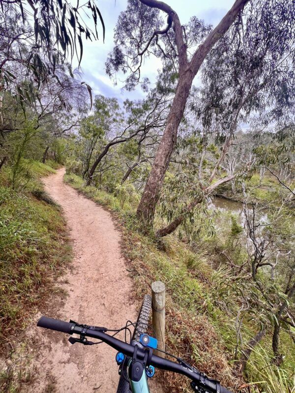 Singletrack next to the Yarra River on the Yarra Bend MTB Trails with bike handlebars in foreground.