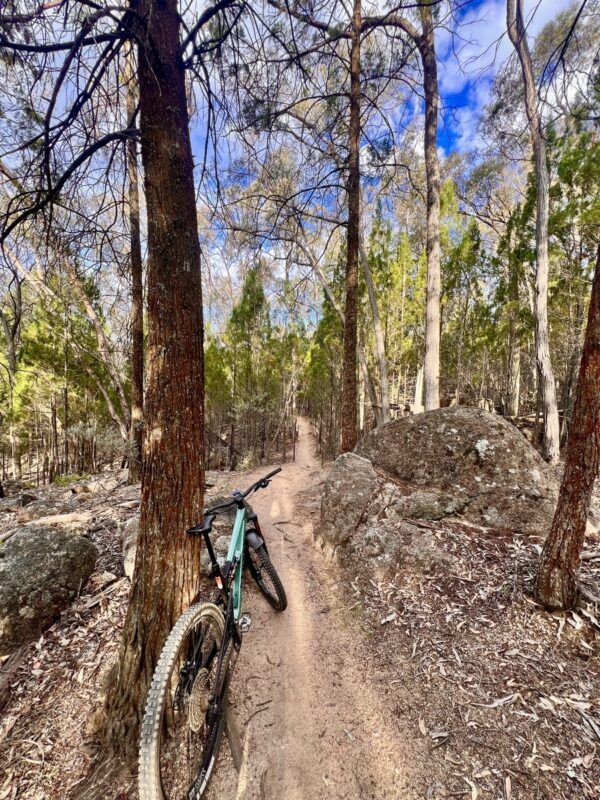 Singletrack with bike in the foreground at Beechworth Mountain Bike Park