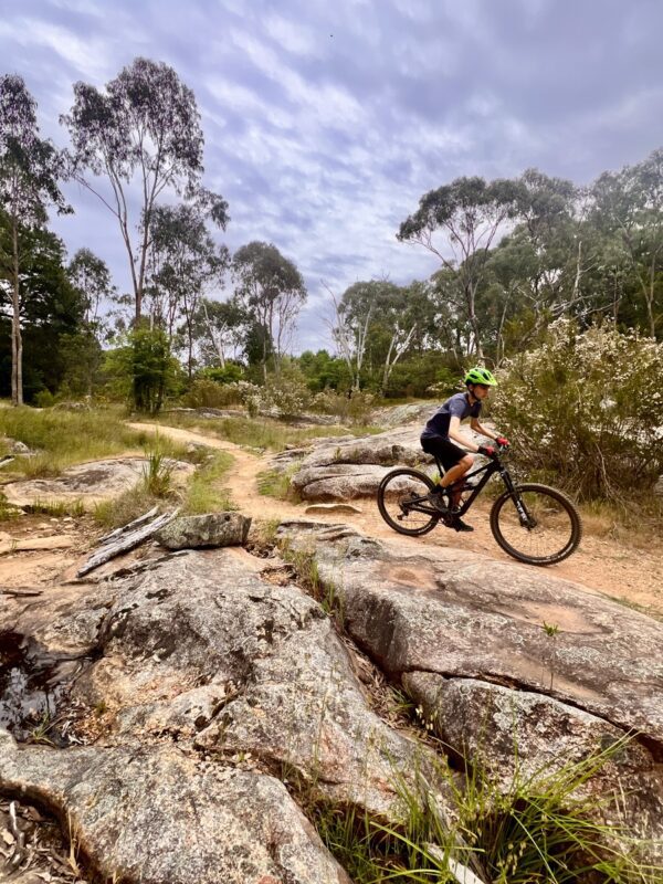 MTB rider riding singletrack near Yackandandah along the Indigo Epic Trail